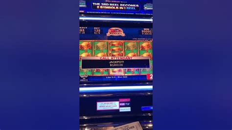 xtra reward slot machines